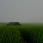 🌅 Whispers of Dawn