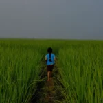 🌤️ The Yonder Is Always Unbeknown