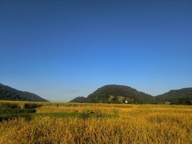 WhatsApp Image 2025-11-09 at 12.32.33_d67576b1