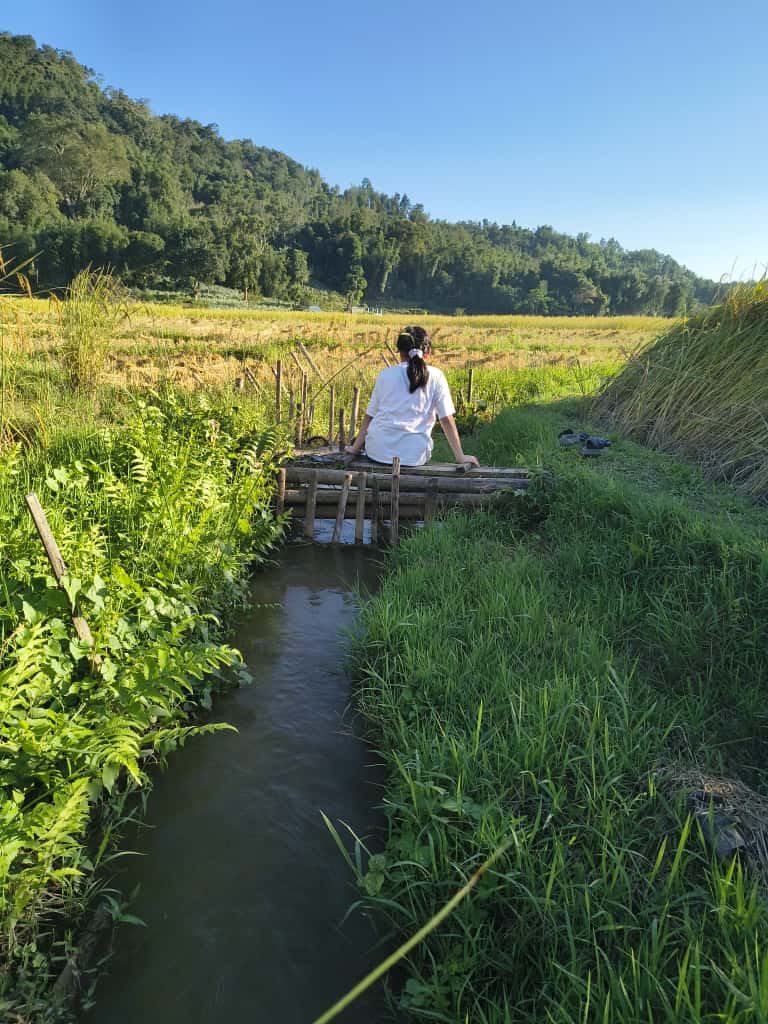 WhatsApp Image 2025-11-09 at 12.32.49_f84bafd6