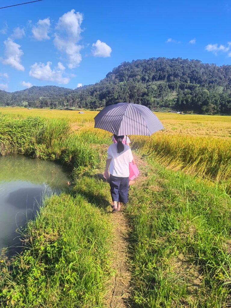 WhatsApp Image 2025-11-09 at 12.33.14_71a4ba01